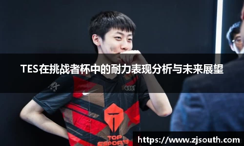 TES在挑战者杯中的耐力表现分析与未来展望